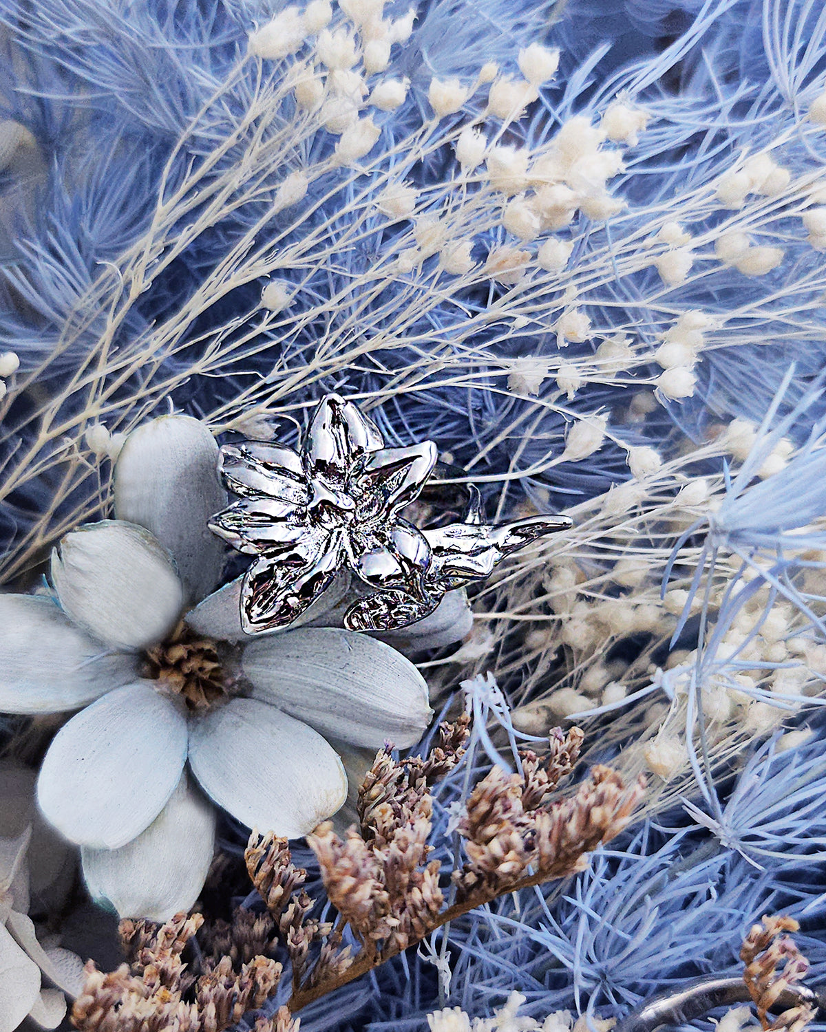 Winter Blossom